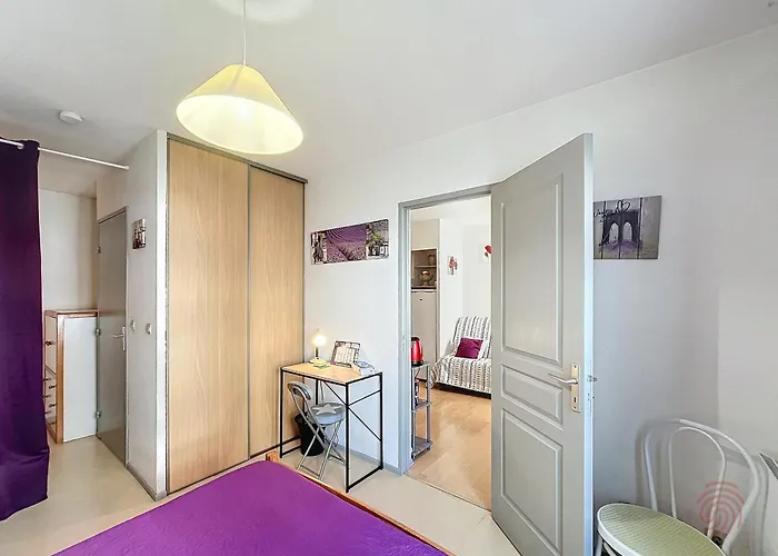 Apartamento Joli F2 Avec Balcon, Animaux Acceptes - Fr-1-451-216 Lamalou-les-Bains