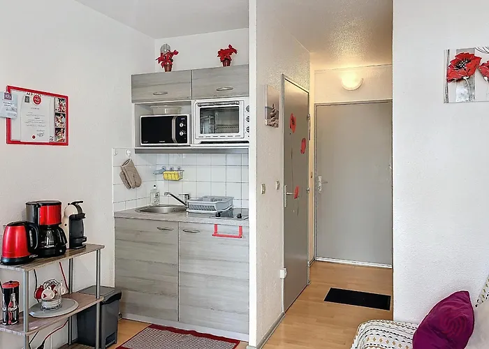 Apartamento Joli F2 Avec Balcon, Animaux Acceptes - Fr-1-451-216