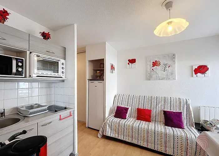 Apartamento Joli F2 Avec Balcon, Animaux Acceptes - Fr-1-451-216 *
